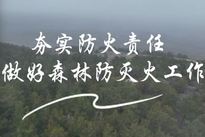 夯實防火責(zé)任 做好森林防滅火工作