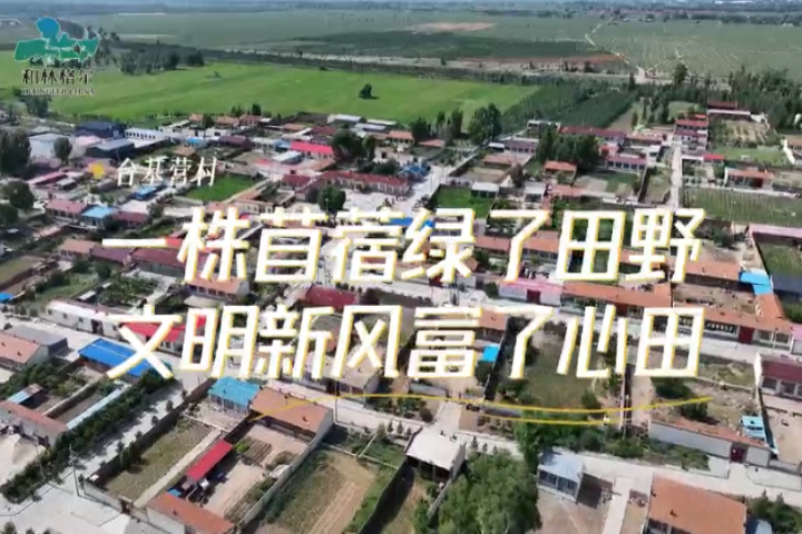 臺基營村：一株苜蓿綠了田野   文明新風富了心田