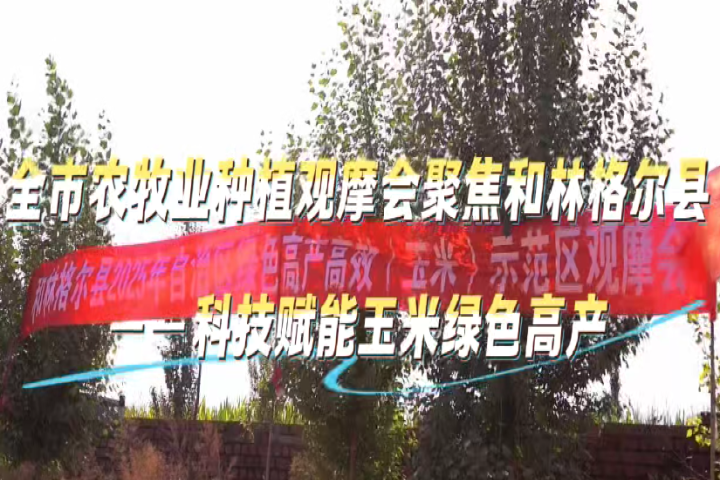 全市農(nóng)牧業(yè)種植觀摩會聚焦和林格爾縣——科技賦能玉米綠色高產(chǎn)