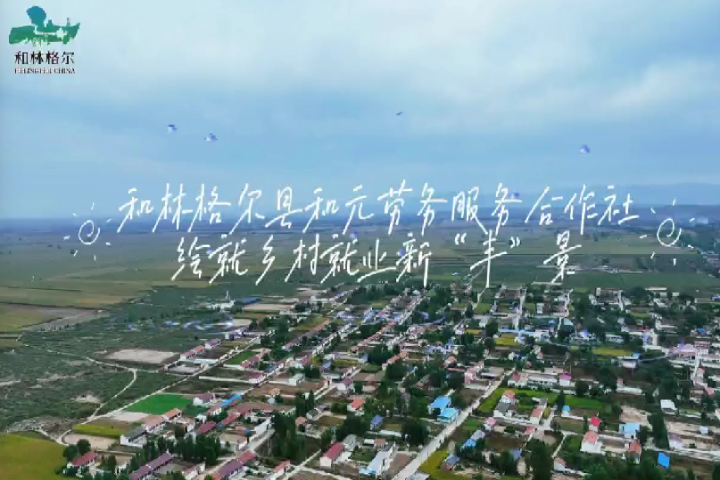 和林格爾縣和元勞務專業(yè)合作社：繪就鄉(xiāng)村就業(yè)新“豐”景