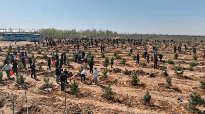 和林格爾縣掀起2025年春季義務(wù)植樹熱潮.jpg